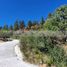  Land for sale in Galeana, Nuevo Leon, Galeana