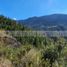  Land for sale in Galeana, Nuevo Leon, Galeana