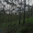  Land for sale in Quibdo Choco, Quibdo, Choco