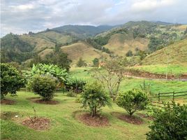  Grundstück zu verkaufen in Retiro, Antioquia, Retiro