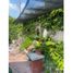 5 Habitación Casa en venta en Monterrey, Nuevo León, Monterrey