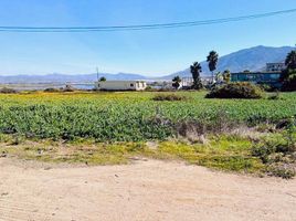  Grundstück zu verkaufen in Ensenada, Baja California, Ensenada