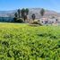  Grundstück zu verkaufen in Ensenada, Baja California, Ensenada