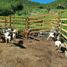  Land for sale in Iturbide, Nuevo Leon, Iturbide