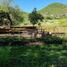  Land for sale in Iturbide, Nuevo Leon, Iturbide