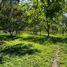  Land for sale in Iturbide, Nuevo Leon, Iturbide