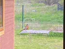  Grundstück zu verkaufen in Coihaique, Aisen Del General Carlos Ibanez Del Campo, Coihaique, Coihaique, Aisen Del General Carlos Ibanez Del Campo