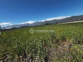  Land for sale in Limache, Quillota, Limache