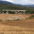  Land for sale in San Jose De Cucuta, Norte De Santander, San Jose De Cucuta