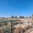  Land for rent in Mexicali, Baja California, Mexicali, Baja California
