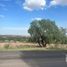  Land for rent in Jesus Maria, Aguascalientes, Jesus Maria