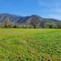  Terrain for sale in Melipilla, Santiago, Melipilla, Melipilla