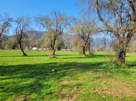  Terrain for sale in Melipilla, Santiago, Melipilla, Melipilla