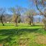  Land for sale in Melipilla, Santiago, Melipilla, Melipilla