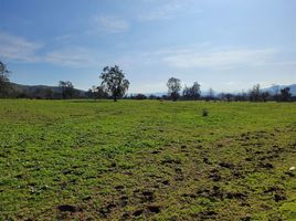  Land for sale in Melipilla, Santiago, Melipilla, Melipilla