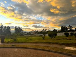  Terrain for sale in Tumbaco, Quito, Tumbaco