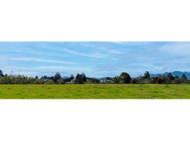 Terrain à vendre à Rionegro, Antioquia, Rionegro