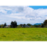 Terrain à vendre à Rionegro, Antioquia, Rionegro