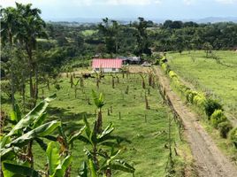  Terreno (Parcela) en venta en Dosquebradas, Risaralda, Dosquebradas