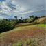  Land for sale in Pereira, Risaralda, Pereira