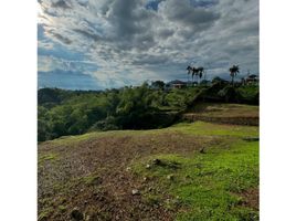  Land for sale in Pereira, Risaralda, Pereira