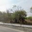  Terreno (Parcela) en alquiler en Nuevo León, Montemorelos, Nuevo León