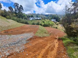  Land for sale in Guarne, Antioquia, Guarne