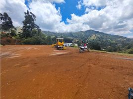  Land for sale in Guarne, Antioquia, Guarne