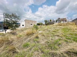  Grundstück zu verkaufen in Puebla, Puebla, Puebla, Puebla