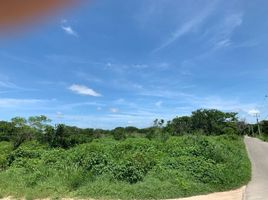 Terrain à vendre à Conkal, Yucatan, Conkal