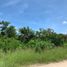 Terrain à vendre à Conkal, Yucatan, Conkal