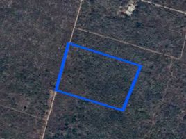  Terreno (Parcela) en venta en Conkal, Yucatán, Conkal