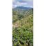 5 Bedroom House for sale in Villamaria, Caldas, Villamaria