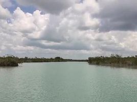  Grundstück zu verkaufen in Othon P Blanco, Quintana Roo, Othon P Blanco