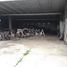在Tuxpan, Veracruz出租的开间 屋, Tuxpan