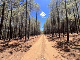  Terrain for sale in Atemajac De Brizuela, Jalisco, Atemajac De Brizuela