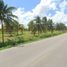  Land for sale in Bocas Del Toro, Guabito, Changuinola, Bocas Del Toro