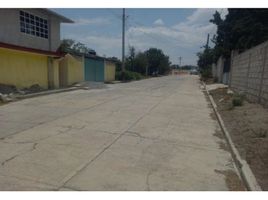  Terreno (Parcela) en venta en Tlaxcala, Tlaxco, Tlaxcala