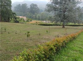  Land for sale in Rionegro, Antioquia, Rionegro