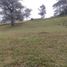  Land for sale in Rionegro, Antioquia, Rionegro