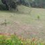  Land for sale in Rionegro, Antioquia, Rionegro