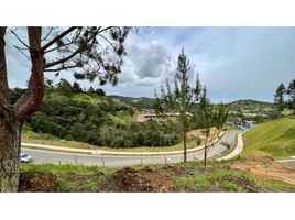  Land for sale in Envigado, Antioquia, Envigado