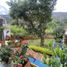 3 Habitación Casa en venta en Villa De Leyva, Boyaca, Villa De Leyva