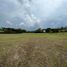  Land for sale in Rionegro, Antioquia, Rionegro