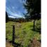  Terrain for sale in Guarne, Antioquia, Guarne