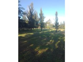  Land for sale in General Pueyrredon, Buenos Aires, General Pueyrredon