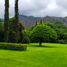2 Schlafzimmer Haus zu verkaufen in Tepoztlan, Morelos, Tepoztlan, Morelos