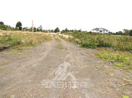  Terreno (Parcela) en venta en Puerto Montt, Llanquihue, Puerto Montt