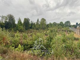  Terrain for sale in Frutillar, Llanquihue, Frutillar