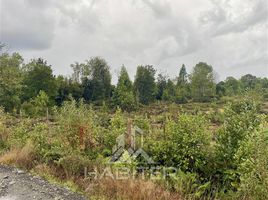  Land for sale in Puerto Montt, Llanquihue, Puerto Montt